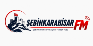 ŞEBİNKARAHİSAR