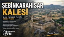 Şebinkarahisar Kalesi