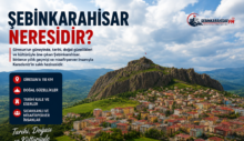 Şebinkarahisar Neresidir